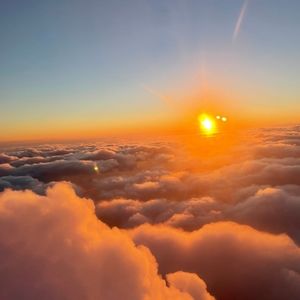 Meet your Posher, Helmi